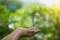 Hình ảnh các bàn tay nắm giữ biểu tượng năng lượng tái tạo minh họa cho những cơ hội do hệ thống gia nhiệt cho khu vực mang lại.