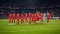 This is the main banner for the climate partnership between Viessmann and FC Bayern.